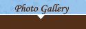 Photo Gallery